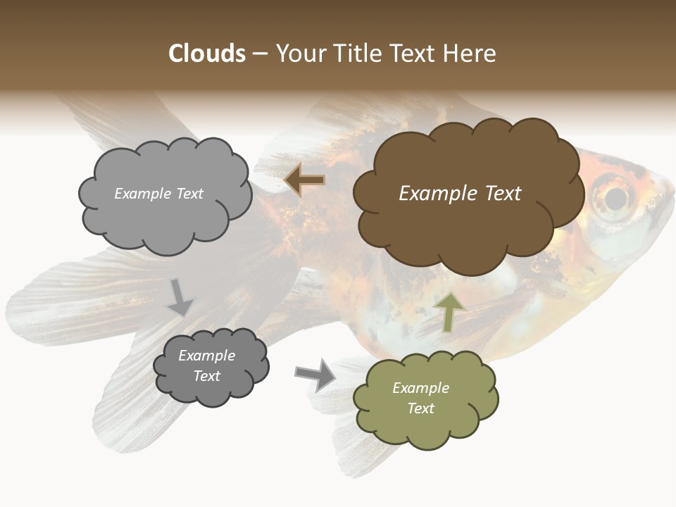 Animal Background Motion PowerPoint Template