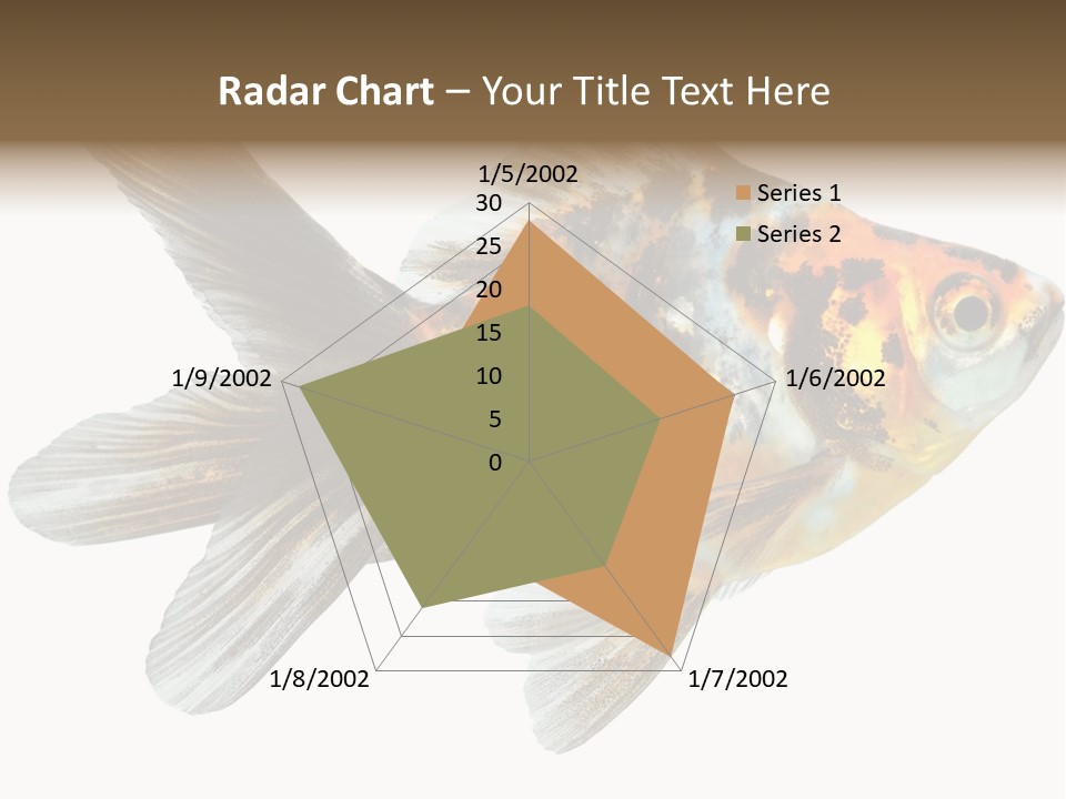 Animal Background Motion PowerPoint Template