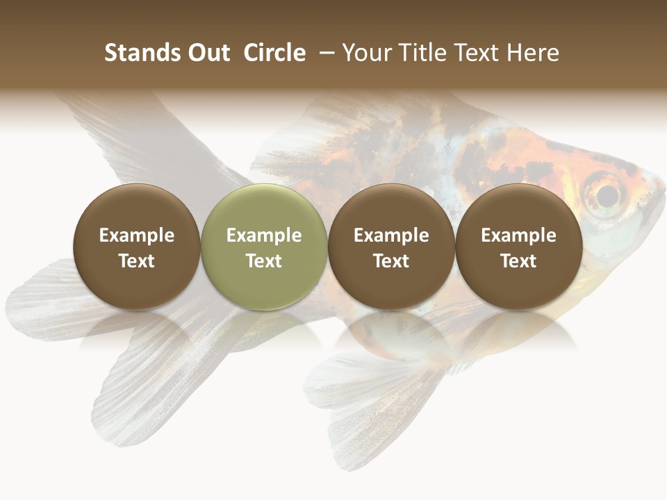 Animal Background Motion PowerPoint Template