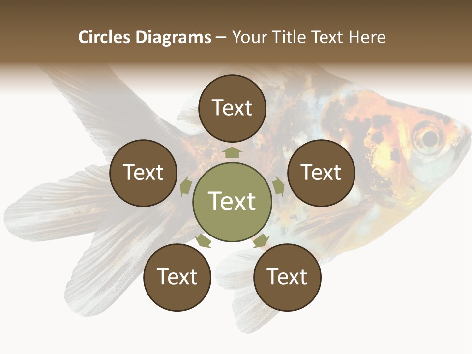 Animal Background Motion PowerPoint Template