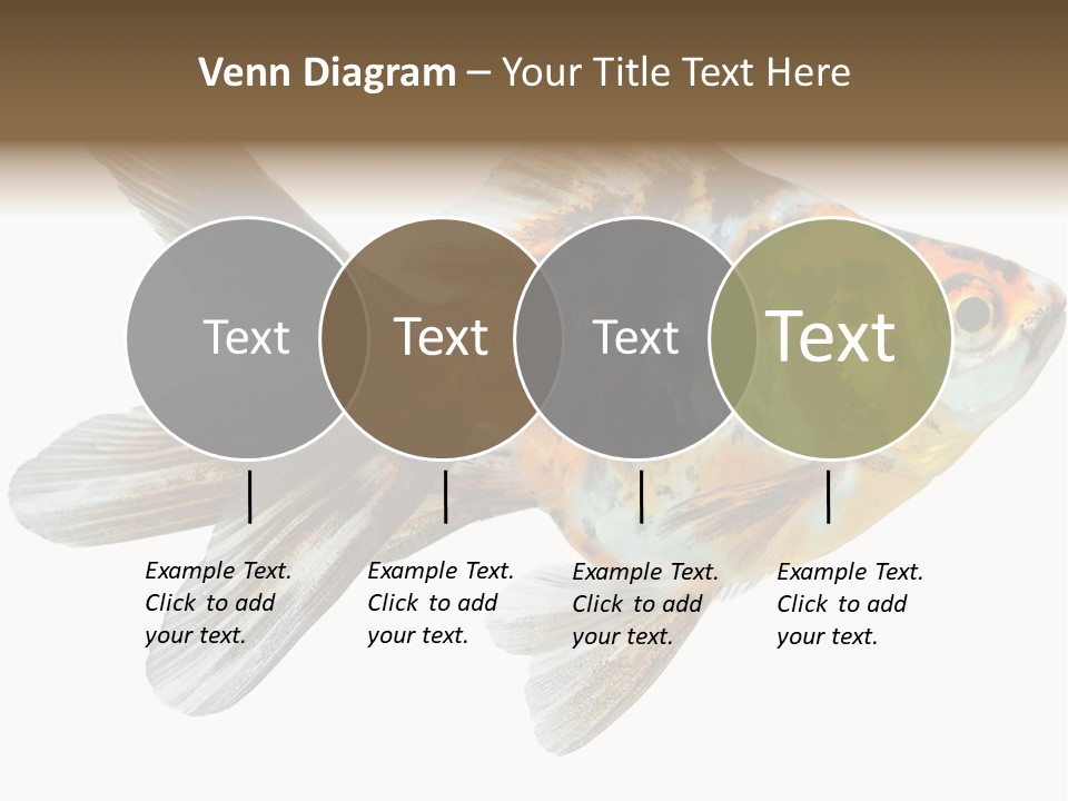 Animal Background Motion PowerPoint Template