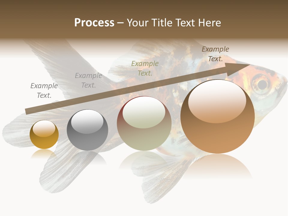 Animal Background Motion PowerPoint Template