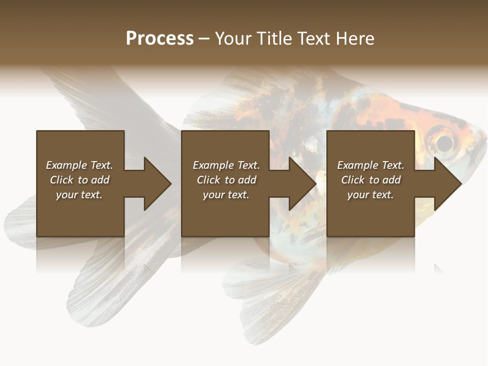Animal Background Motion PowerPoint Template