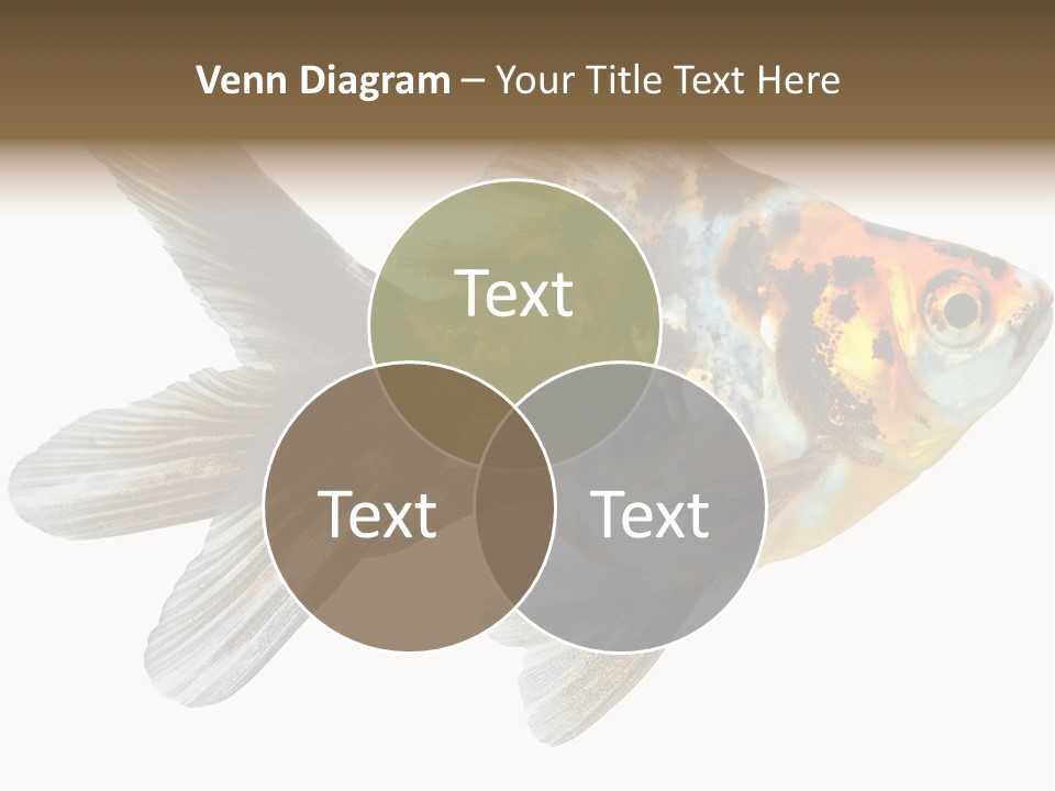 Animal Background Motion PowerPoint Template