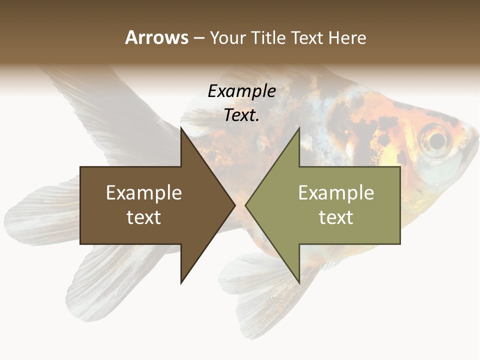 Animal Background Motion PowerPoint Template