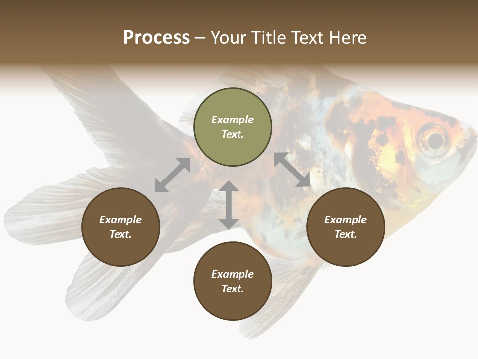 Animal Background Motion PowerPoint Template