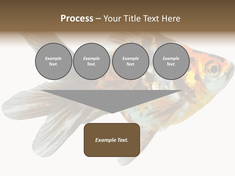 Animal Background Motion PowerPoint Template