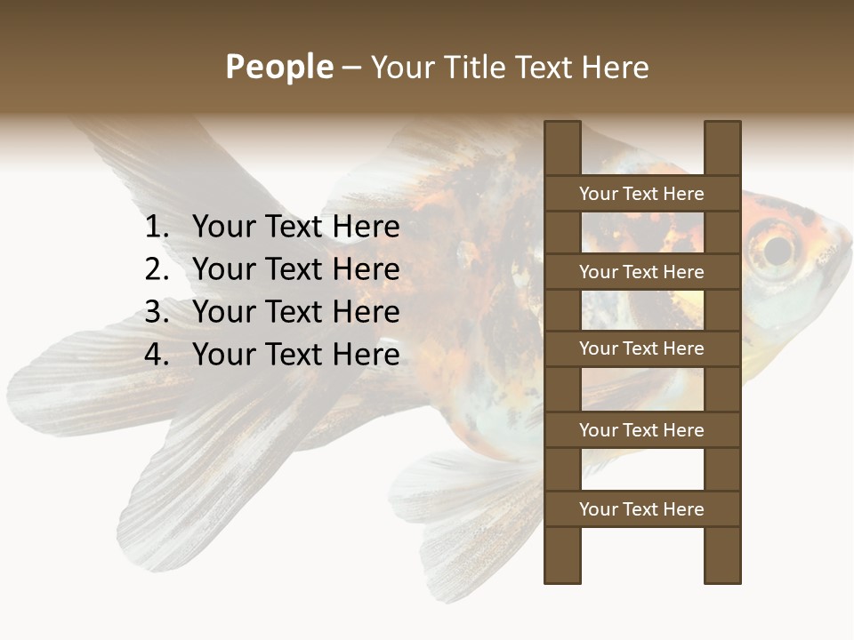 Animal Background Motion PowerPoint Template