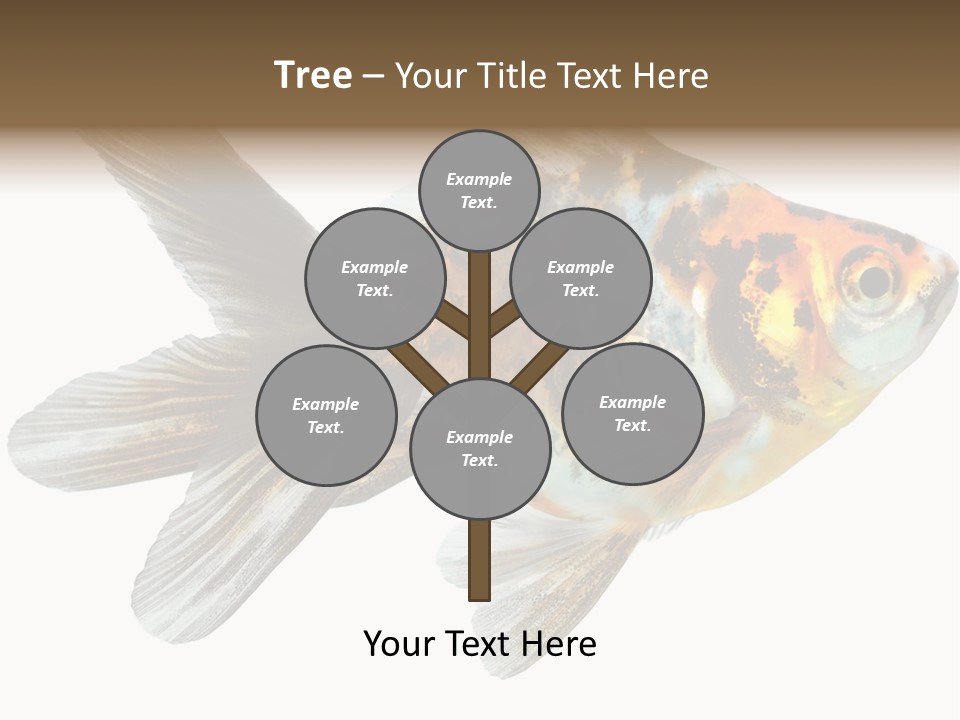 Animal Background Motion PowerPoint Template