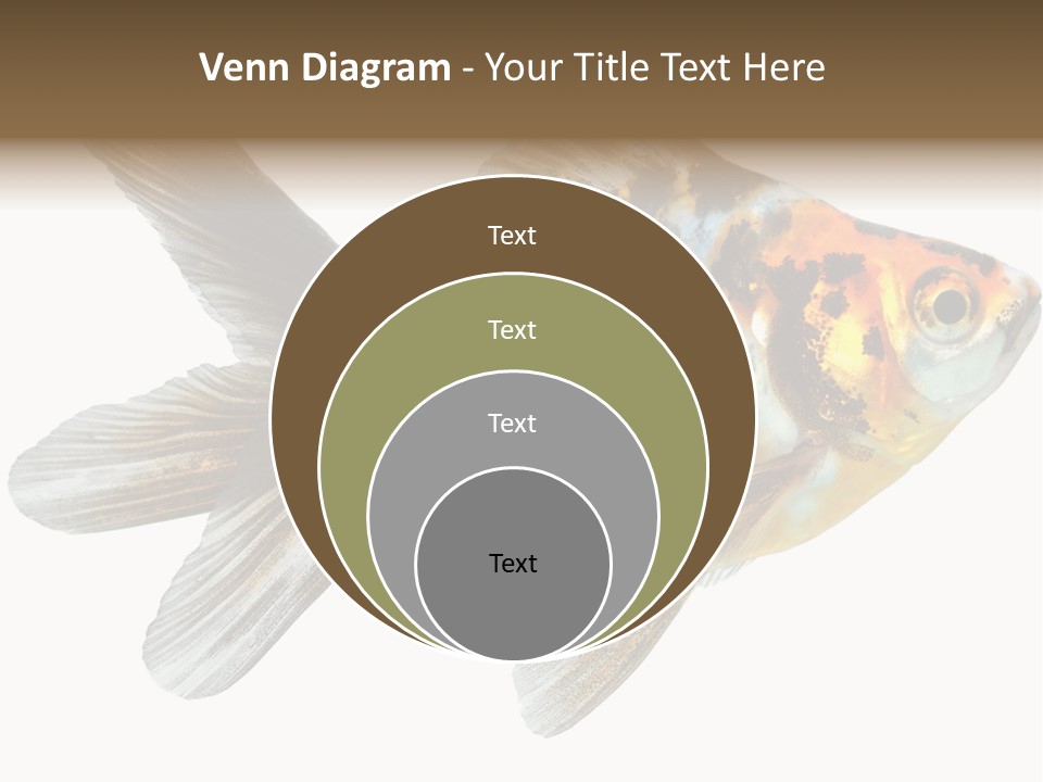 Animal Background Motion PowerPoint Template