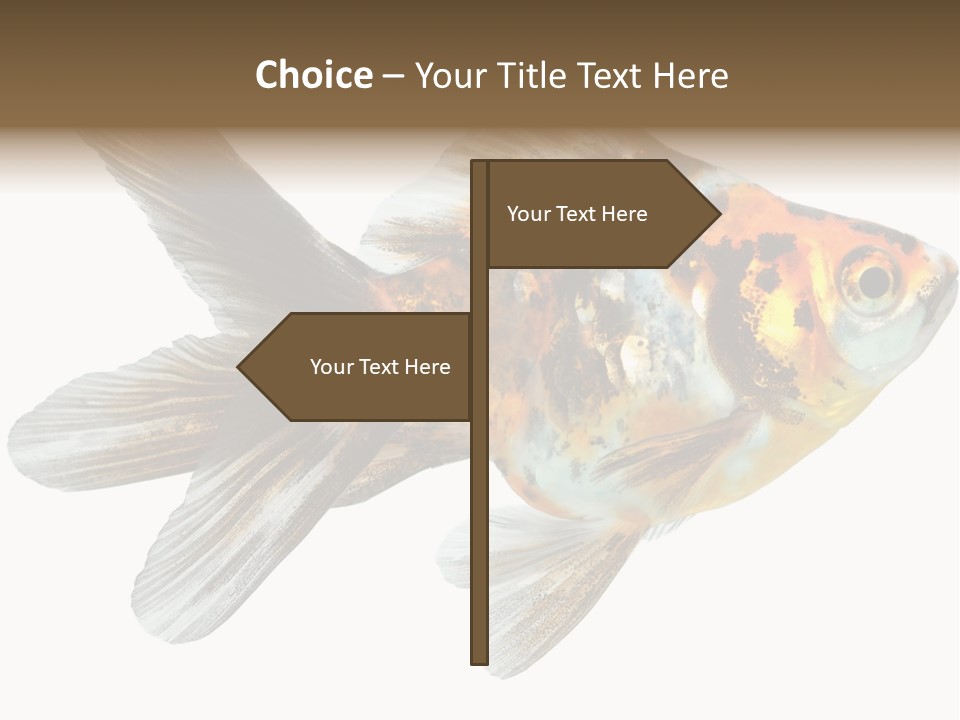 Animal Background Motion PowerPoint Template