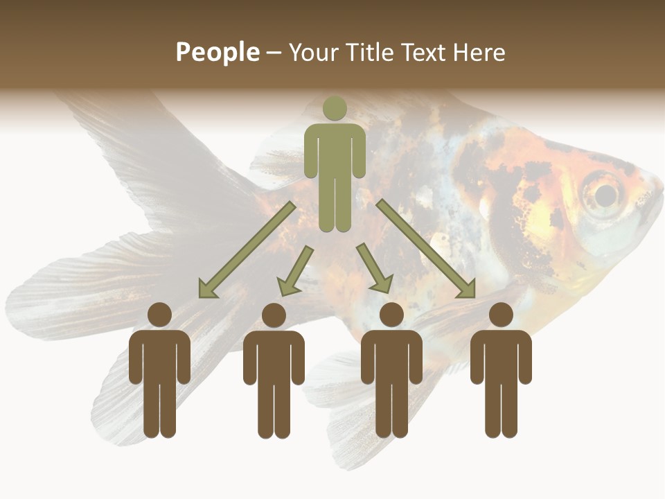 Animal Background Motion PowerPoint Template