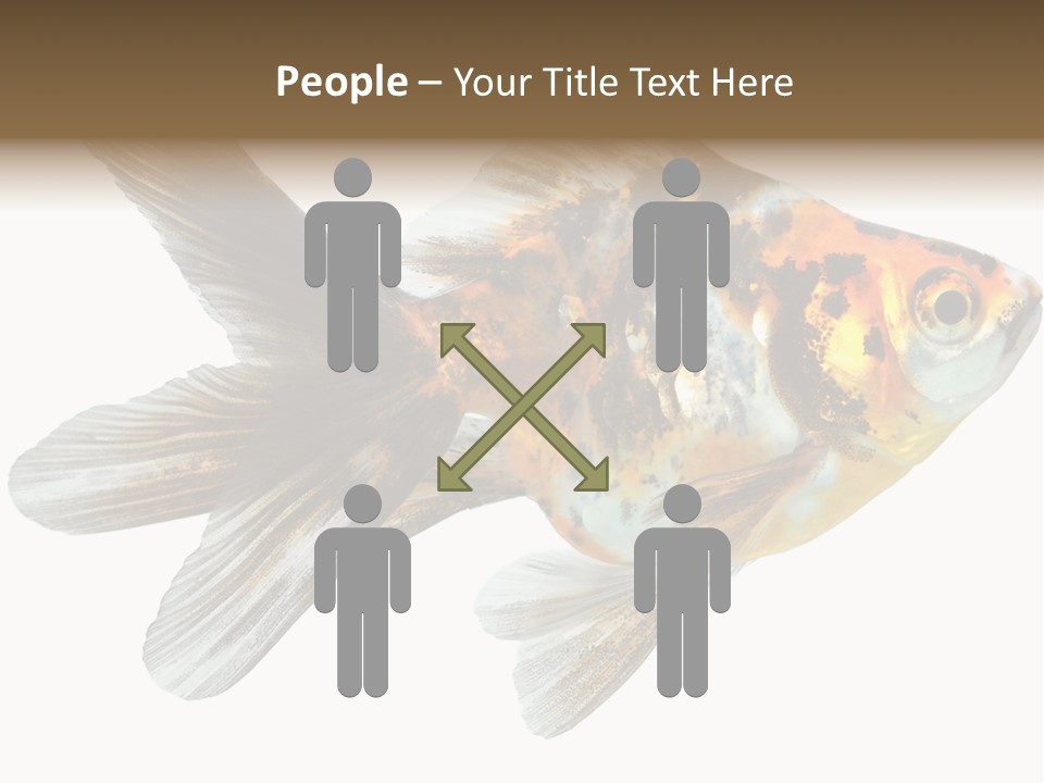 Animal Background Motion PowerPoint Template