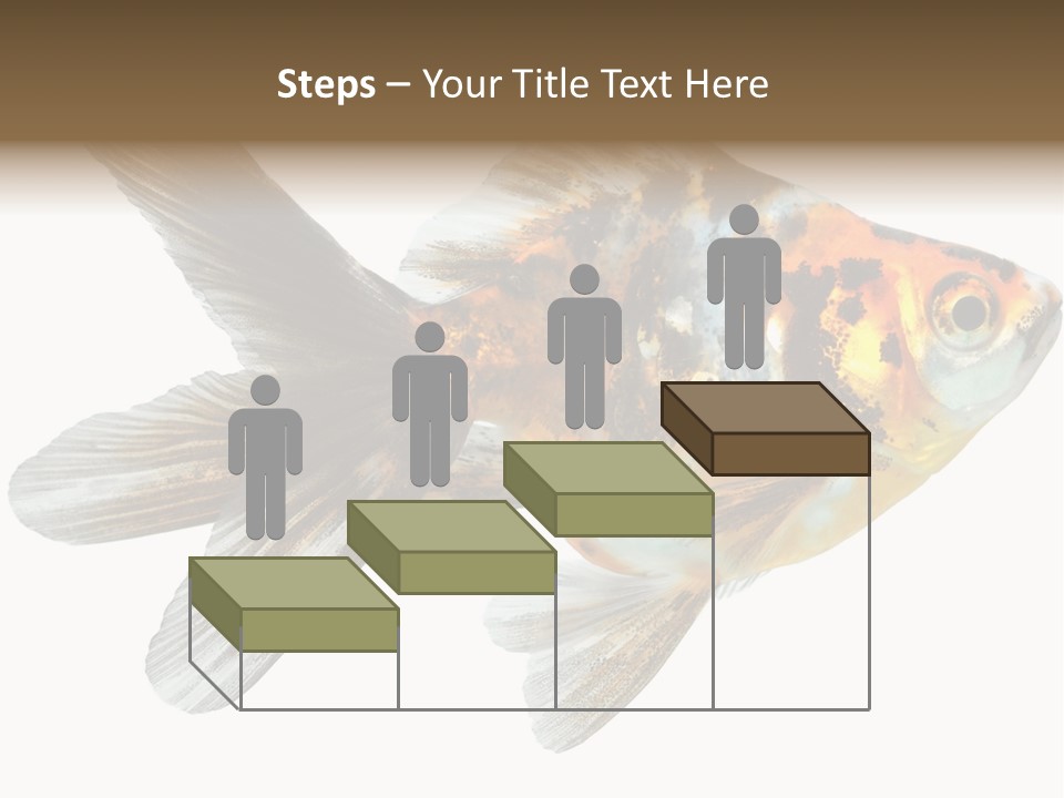 Animal Background Motion PowerPoint Template