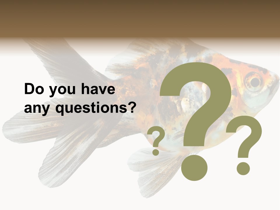 Animal Background Motion PowerPoint Template