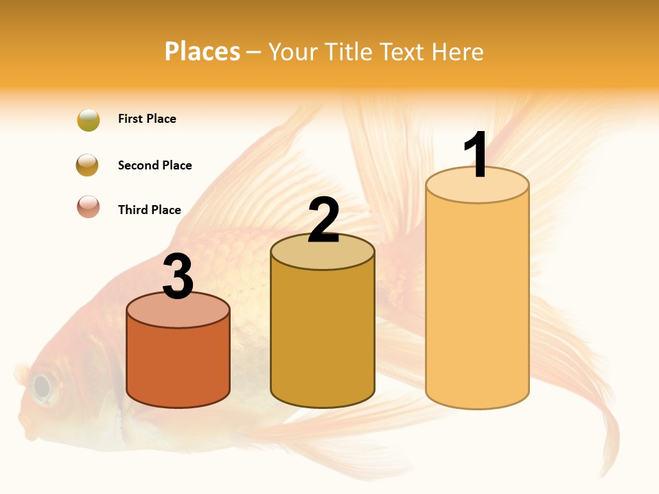 Carp Motion Orange PowerPoint Template