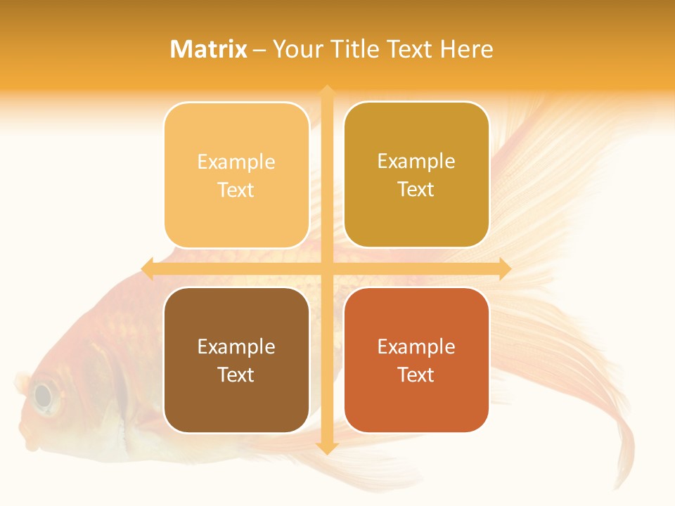 Carp Motion Orange PowerPoint Template