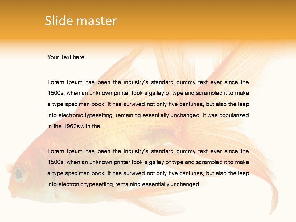 Carp Motion Orange PowerPoint Template