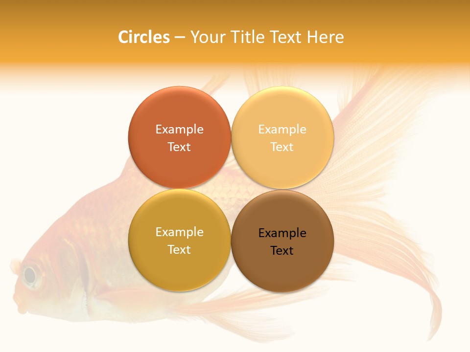 Carp Motion Orange PowerPoint Template