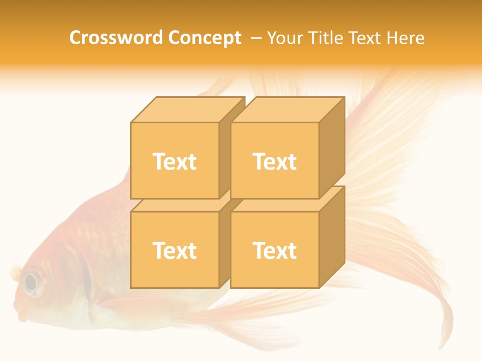 Carp Motion Orange PowerPoint Template