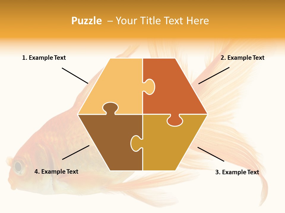 Carp Motion Orange PowerPoint Template