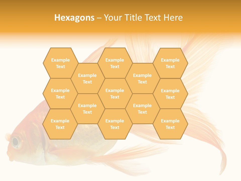 Carp Motion Orange PowerPoint Template