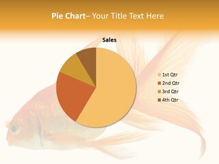 Carp Motion Orange PowerPoint Template