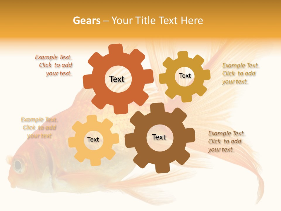 Carp Motion Orange PowerPoint Template