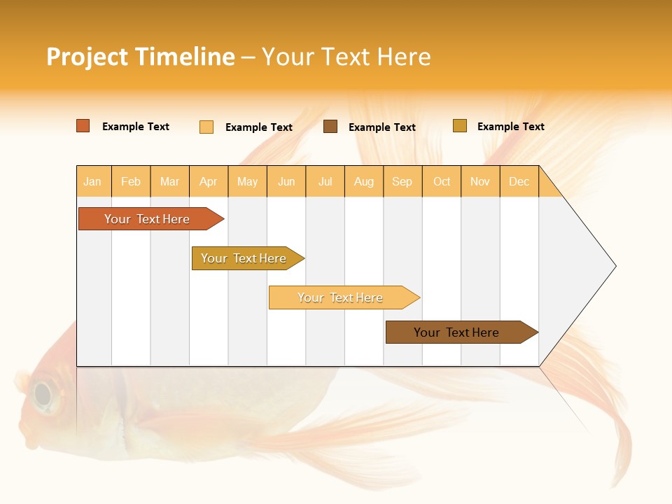 Carp Motion Orange PowerPoint Template