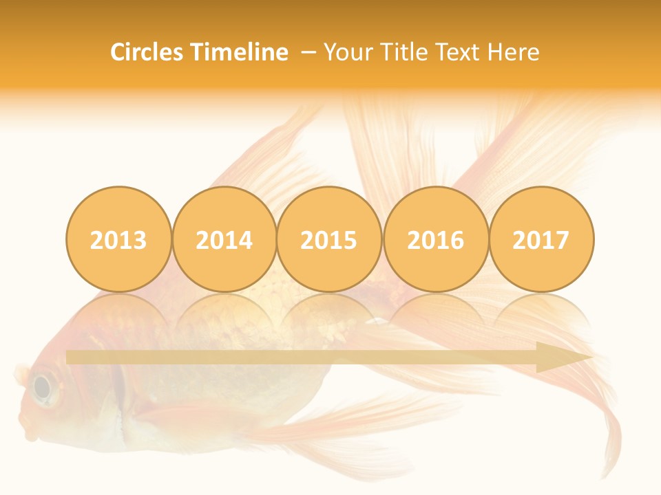 Carp Motion Orange PowerPoint Template