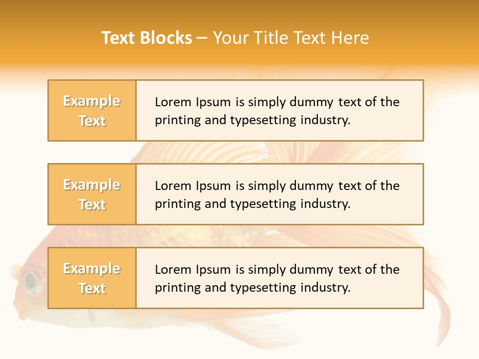 Carp Motion Orange PowerPoint Template