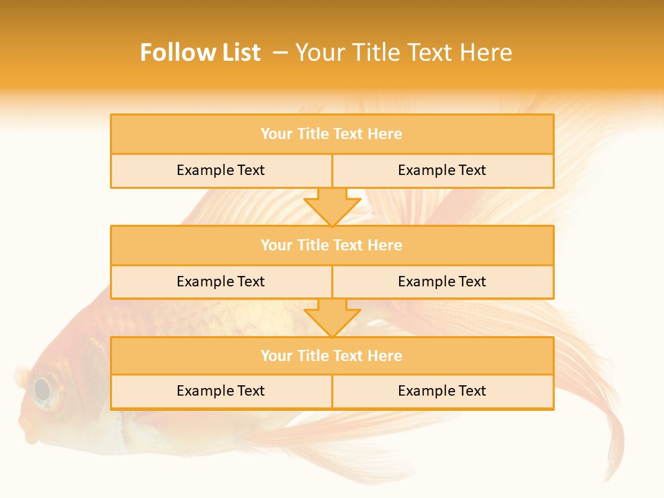 Carp Motion Orange PowerPoint Template
