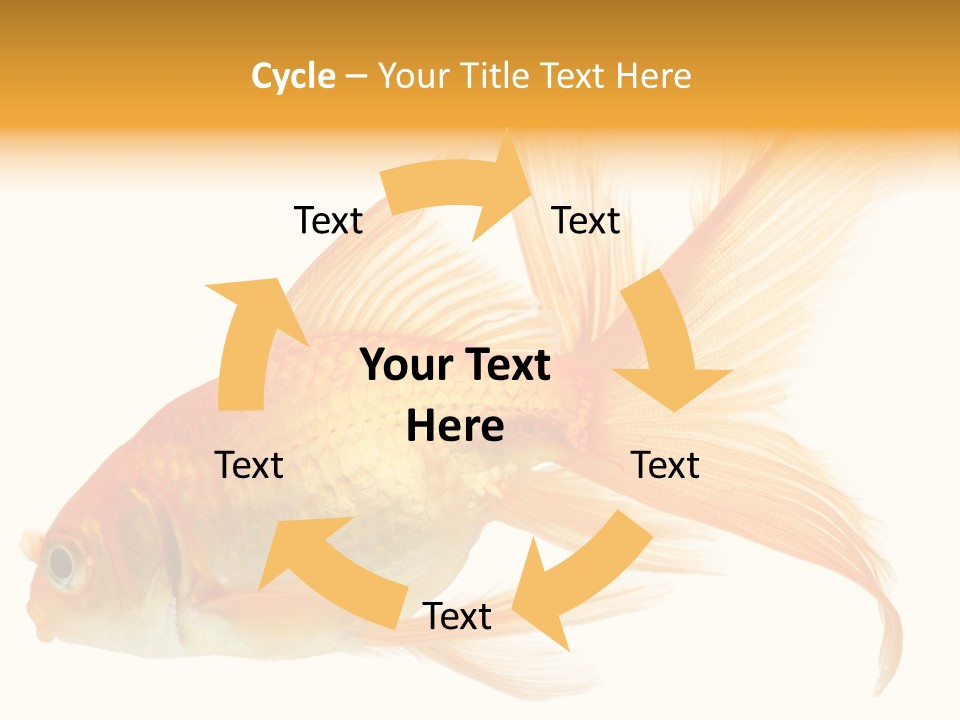 Carp Motion Orange PowerPoint Template