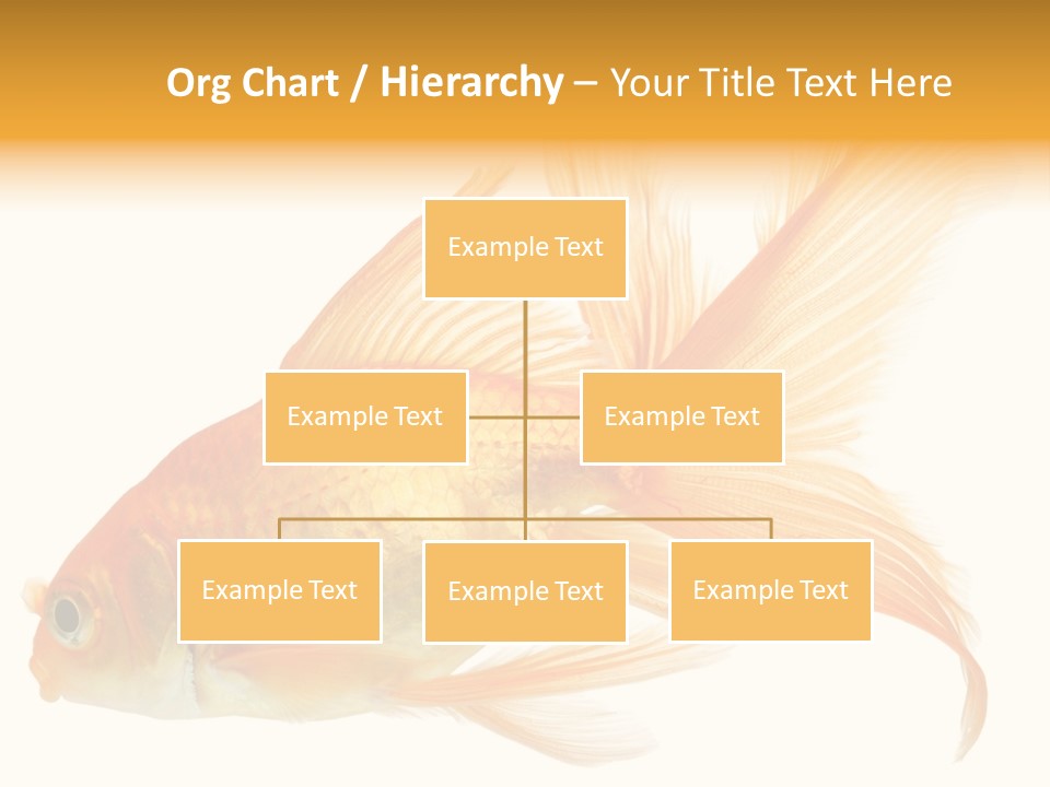 Carp Motion Orange PowerPoint Template