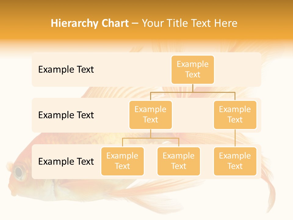 Carp Motion Orange PowerPoint Template