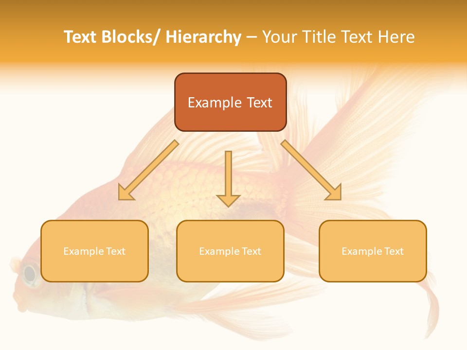 Carp Motion Orange PowerPoint Template