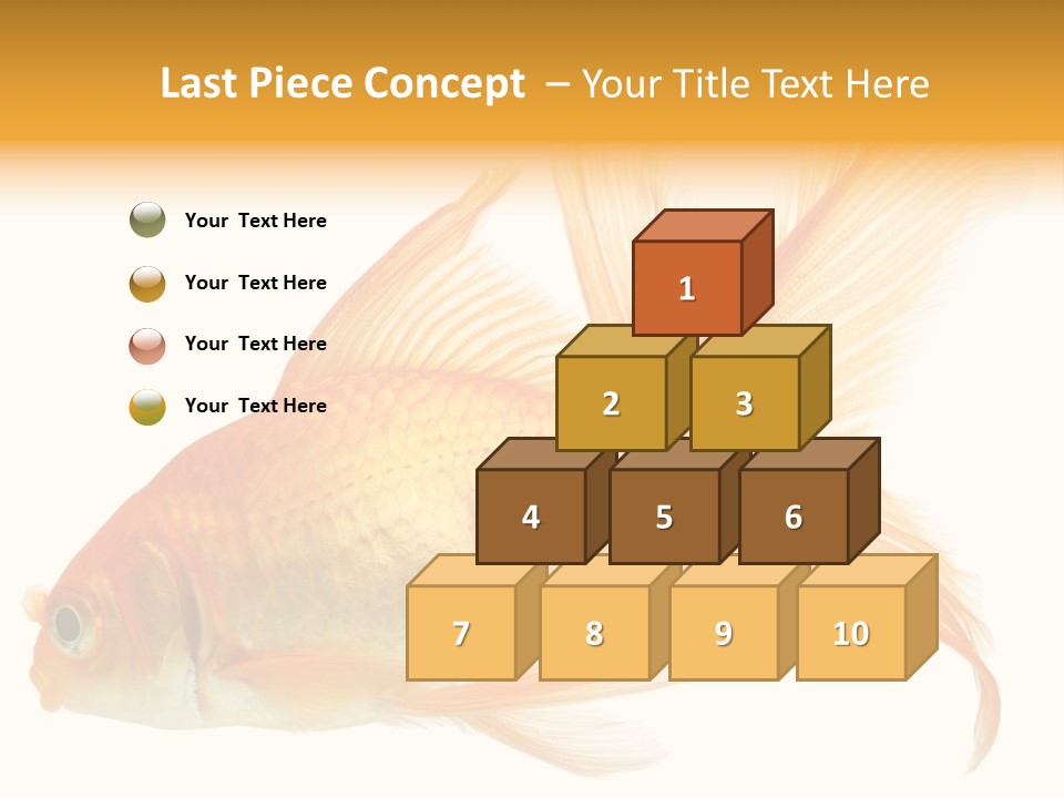 Carp Motion Orange PowerPoint Template