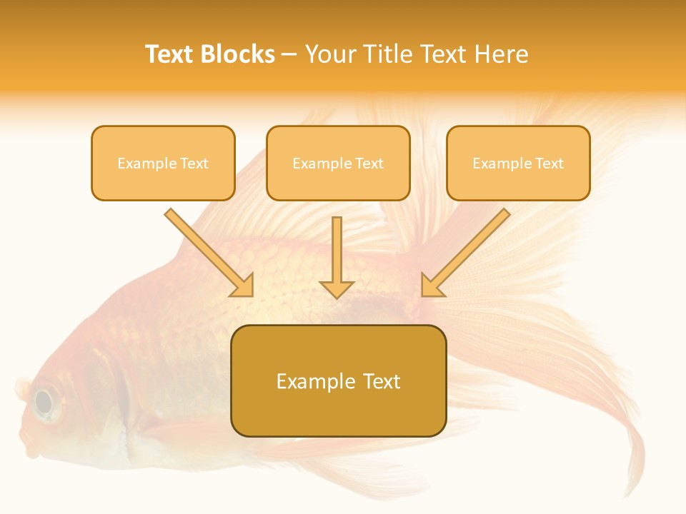 Carp Motion Orange PowerPoint Template
