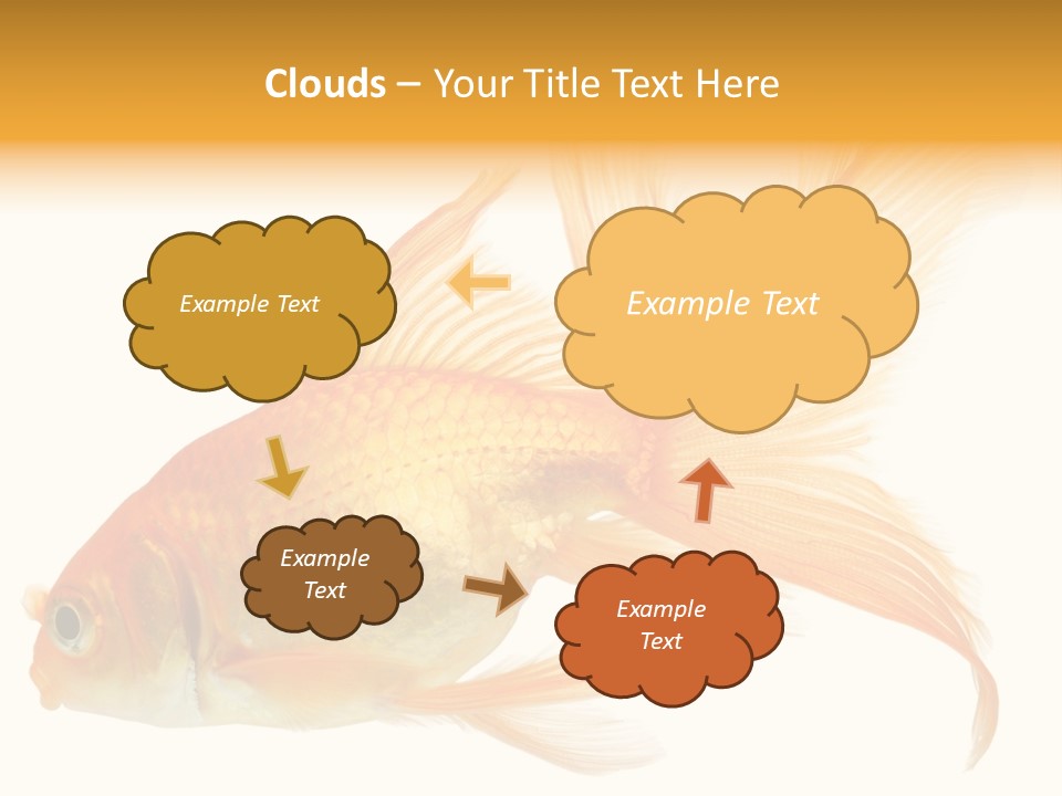 Carp Motion Orange PowerPoint Template