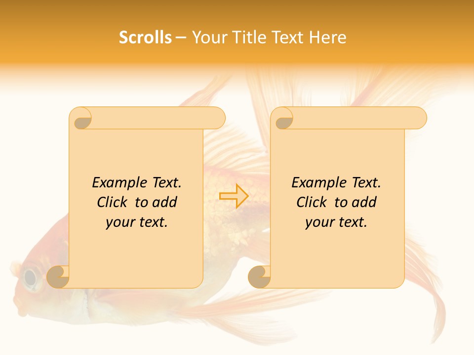 Carp Motion Orange PowerPoint Template