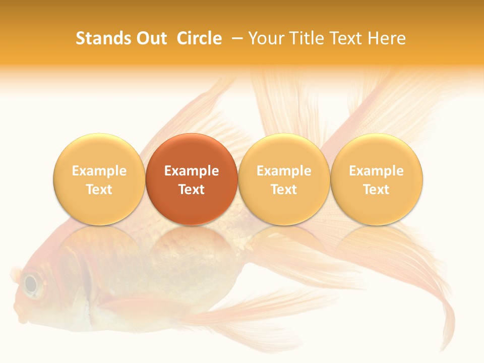 Carp Motion Orange PowerPoint Template