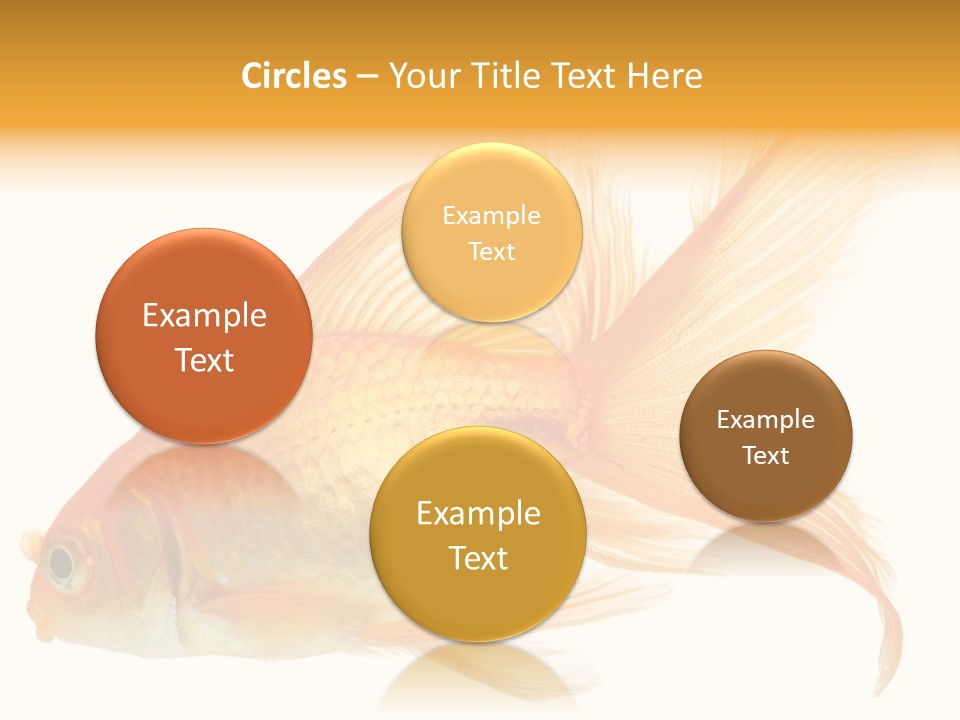 Carp Motion Orange PowerPoint Template