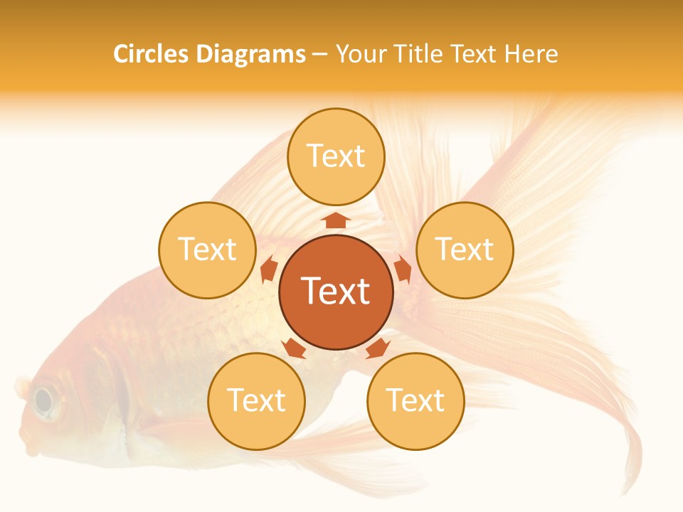 Carp Motion Orange PowerPoint Template
