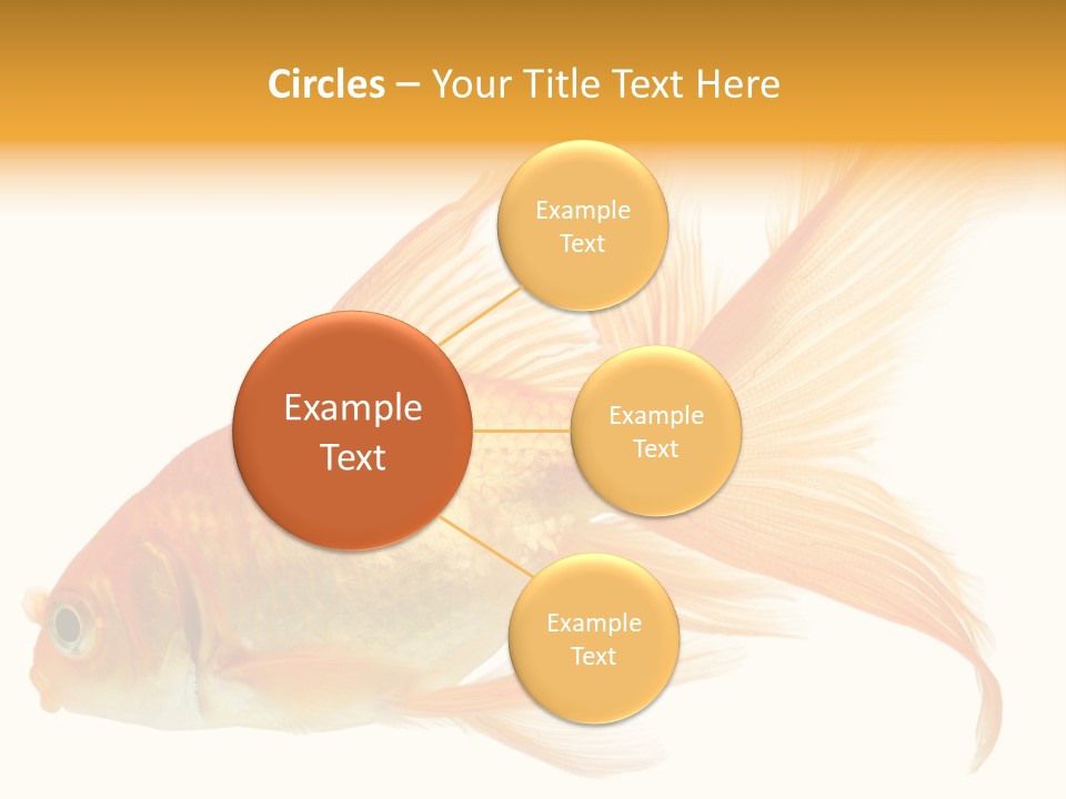 Carp Motion Orange PowerPoint Template