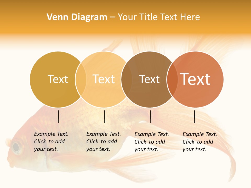 Carp Motion Orange PowerPoint Template
