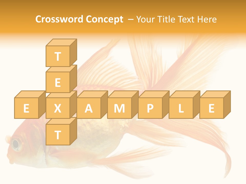 Carp Motion Orange PowerPoint Template