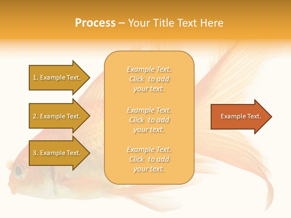 Carp Motion Orange PowerPoint Template