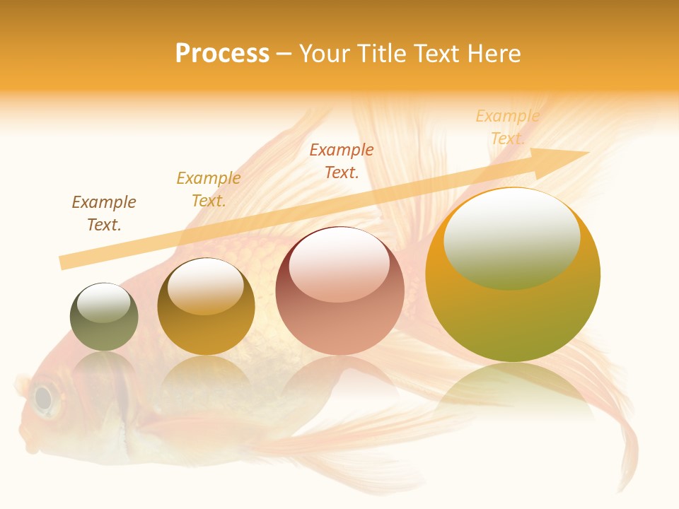 Carp Motion Orange PowerPoint Template