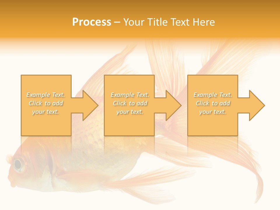 Carp Motion Orange PowerPoint Template