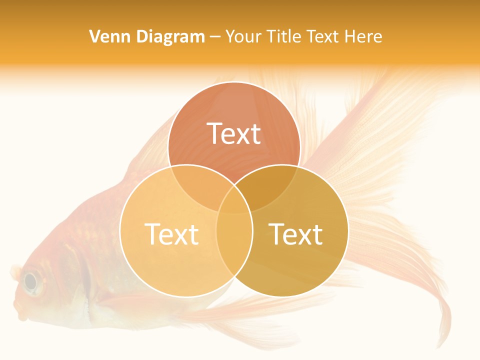 Carp Motion Orange PowerPoint Template